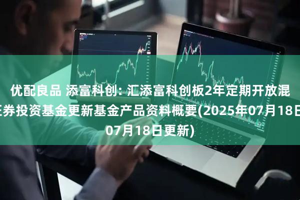 优配良品 添富科创: 汇添富科创板2年定期开放混合型证券投资基金更新基金产品资料概要(2025年07月18日更新)
