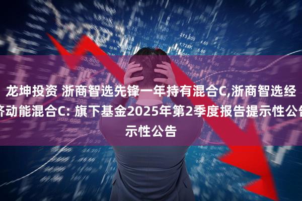 龙坤投资 浙商智选先锋一年持有混合C,浙商智选经济动能混合C: 旗下基金2025年第2季度报告提示性公告