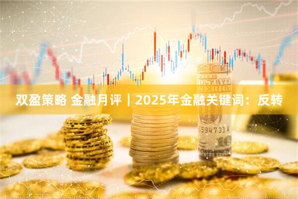 双盈策略 金融月评｜2025年金融关键词：反转